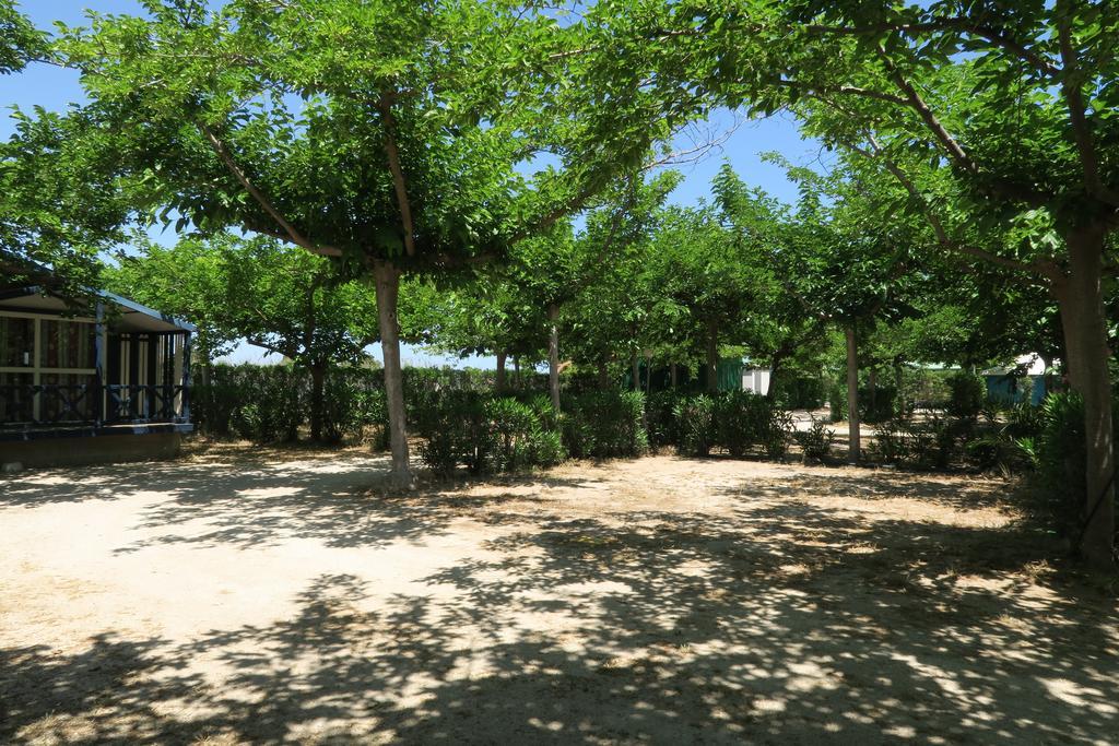 Camping Azul Oliva Bagian luar foto