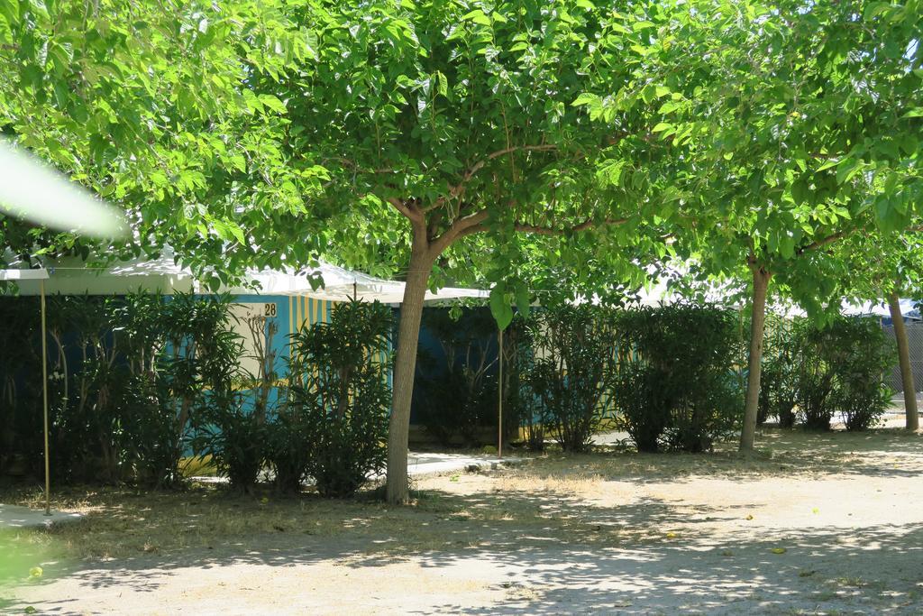 Camping Azul Oliva Bagian luar foto